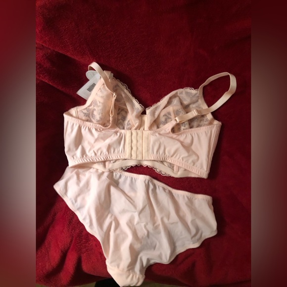 Parfait Lingerie Pale Blush Bra & Panty Set - Size 38E/Large - New With Tags - Picture 2 of 9